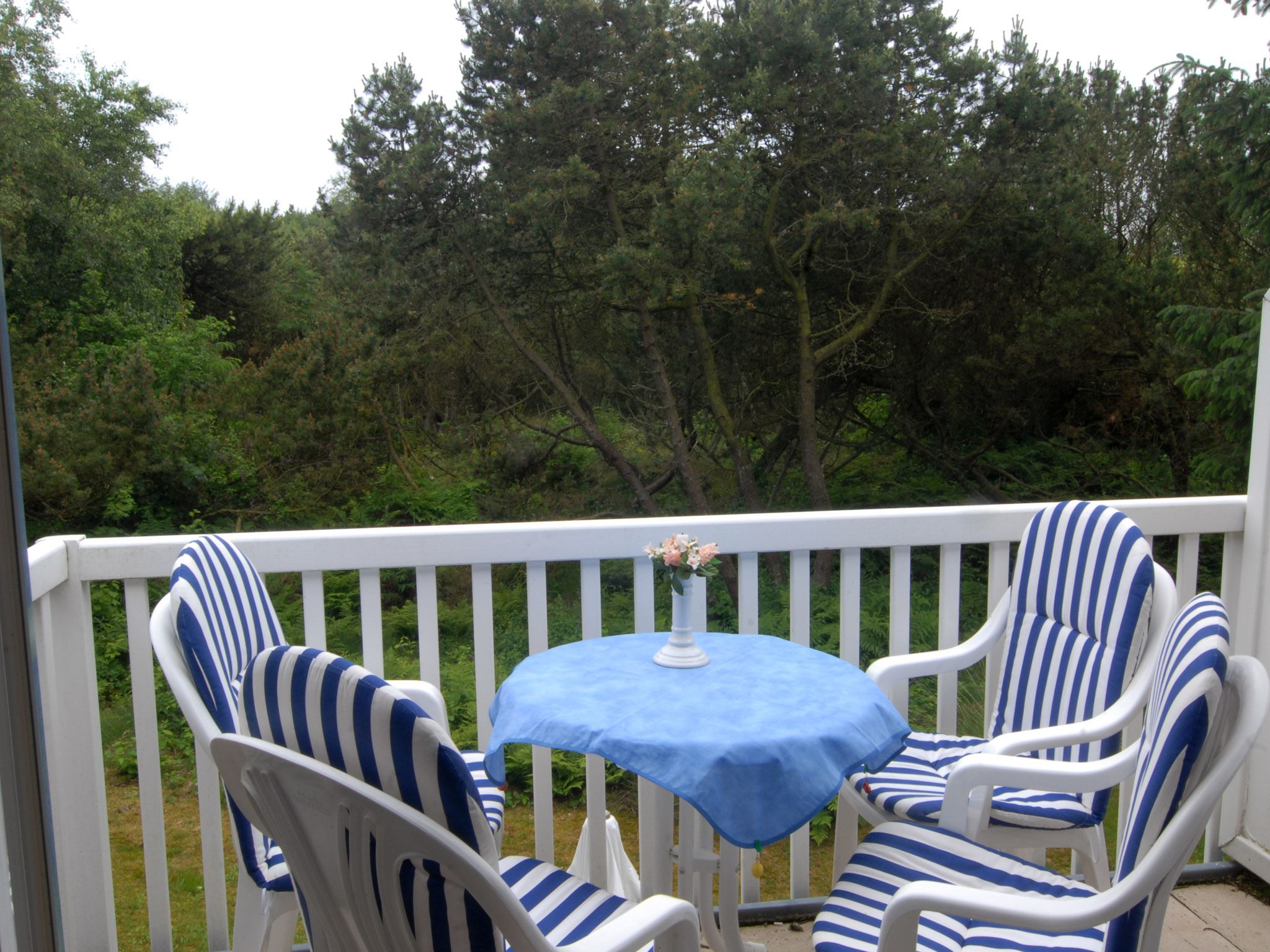 Nichtraucher-Ferienwohnung unter Reet in St. Peter-Böhl